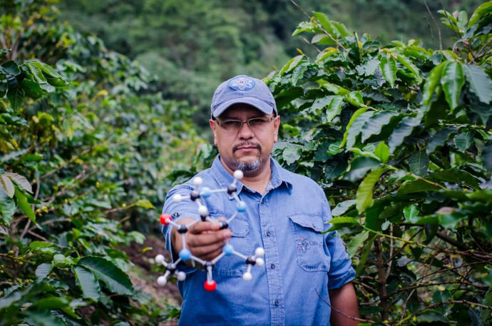 Masterclass de coffee processing y postcosecha / Darveris Rivas