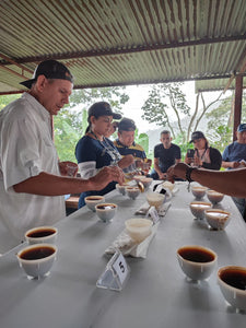 Masterclass de coffee processing y postcosecha / Darveris Rivas