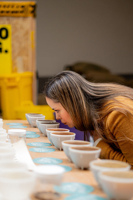 Workshop - Coffee cupping